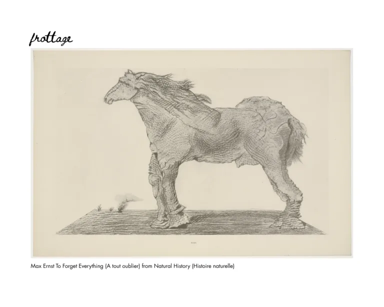 surface catalog: an intro to frottage 